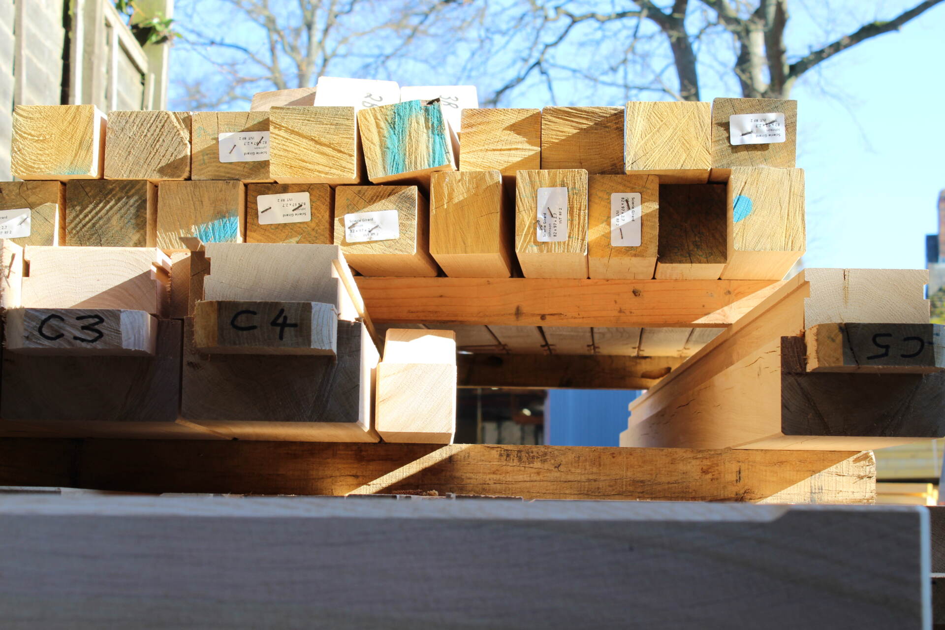 What is green oak? green oak, oak frame timber frame